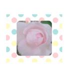 お花と言葉を添えて（個別スタンプ：2）