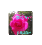 お花と言葉を添えて（個別スタンプ：4）