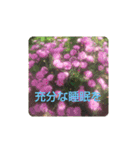 お花と言葉を添えて（個別スタンプ：6）