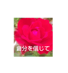 お花と言葉を添えて（個別スタンプ：7）