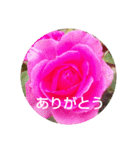 お花と言葉を添えて（個別スタンプ：8）