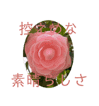 ☆花言葉☆（個別スタンプ：1）