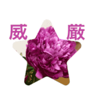 ☆花言葉☆（個別スタンプ：3）
