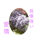 ☆花言葉☆（個別スタンプ：5）