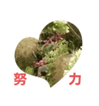 ☆花言葉☆（個別スタンプ：6）