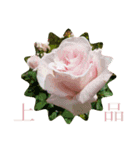 ☆花言葉☆（個別スタンプ：8）