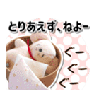 白ねずみさんのやさしい言葉（個別スタンプ：33）