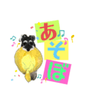 シュナウザー(プリルとペル)（個別スタンプ：12）