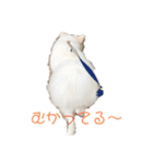愛犬陸（個別スタンプ：3）