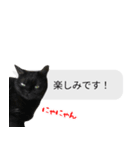 猫野家すたんぷ【吹き出し敬語編】（個別スタンプ：3）
