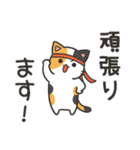 やんちゃ猫くるり（個別スタンプ：21）