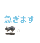 テトラのスタンプ（敬語うさぎ）（個別スタンプ：6）