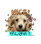ししまるくらぶ（個別スタンプ：9）