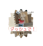 ししまるくらぶ（個別スタンプ：14）