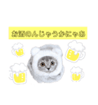 ねこーん＆白いこねこーん まったり（個別スタンプ：2）
