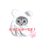 ねこーん＆白いこねこーん まったり（個別スタンプ：4）