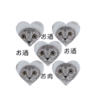 ねこーん＆白いこねこーん まったり（個別スタンプ：5）