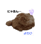 ねこーん＆白いこねこーん まったり（個別スタンプ：9）
