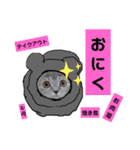 ねこーん＆白いこねこーん まったり（個別スタンプ：10）