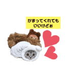 ねこーん＆白いこねこーん まったり（個別スタンプ：13）
