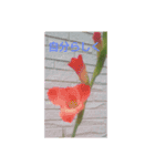 お花そしてメッセージ（個別スタンプ：4）