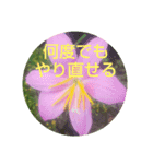 お花そしてメッセージ（個別スタンプ：7）