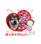 黒柴 愛しきプーちゃん ④（個別スタンプ：34）