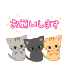 かわいい☆子猫ちゃんたちの日常スタンプ（個別スタンプ：5）