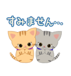 かわいい☆子猫ちゃんたちの日常スタンプ（個別スタンプ：36）