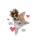 chipie♡（個別スタンプ：4）