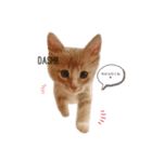 chipie♡（個別スタンプ：6）