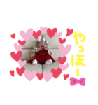 せいらスタンプ♡4（個別スタンプ：5）