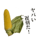 とうもろこし☆スタンプ（個別スタンプ：3）