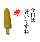 とうもろこし☆スタンプ（個別スタンプ：5）