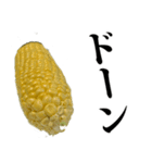 とうもろこし☆スタンプ（個別スタンプ：7）