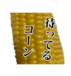 とうもろこし☆スタンプ（個別スタンプ：16）