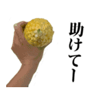 とうもろこし☆スタンプ（個別スタンプ：21）