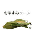 とうもろこし☆スタンプ（個別スタンプ：22）