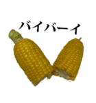 とうもろこし☆スタンプ（個別スタンプ：23）