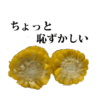 とうもろこし☆スタンプ（個別スタンプ：27）