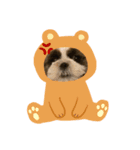 シーズーのMonday.（個別スタンプ：24）