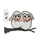 フクロウG.G（個別スタンプ：7）