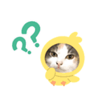 ももの生活3（個別スタンプ：7）