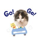 ももの生活3（個別スタンプ：8）
