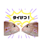 おさかなシリーズ（個別スタンプ：4）