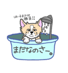 チワワのコッコ（個別スタンプ：8）