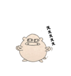 日常を豚と共に（個別スタンプ：4）