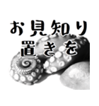 相手のスタンプを褒めるたこ煮干しスタンプ（個別スタンプ：26）