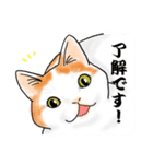 ぽっちゃり猫にゃん吉スタンプ（個別スタンプ：17）