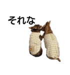じいさんず（個別スタンプ：19）